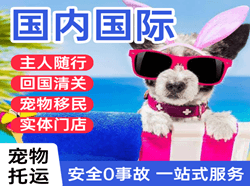 大同航空快递国际宠物托运 【国